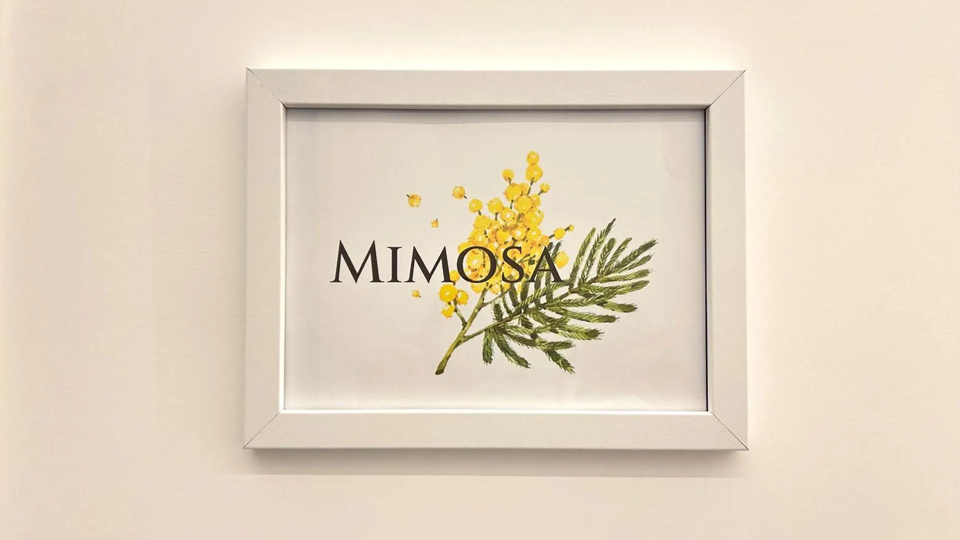 Lilium Suites Rome Guest house